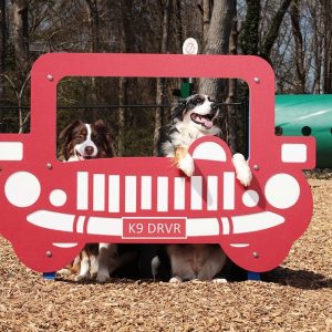 Designing a Dog Park: From Agility Equipment to Relaxation Zones icon