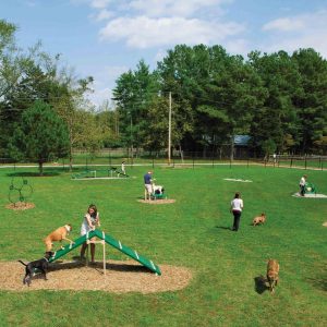 4 Benefits of Dog Parks in Communities icon
