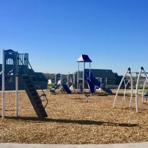 5 Essential Pieces of HOA Playground Equipment icon