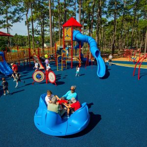 Designing a Custom Playground for ALL Ages and Abilities icon