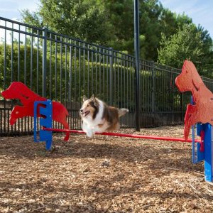 How to Effectively Plan and Design a Dog Park icon