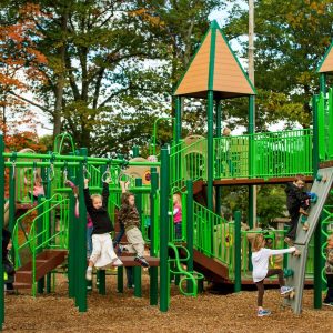 Why Playgrounds, Physical Activity and Recess Are So Important for Students icon