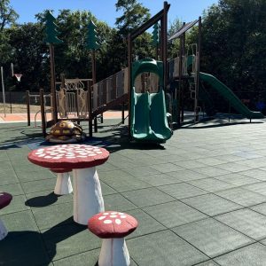 Nature Themed Playground and Sport Court – Winnebago, NE gallery thumbnail
